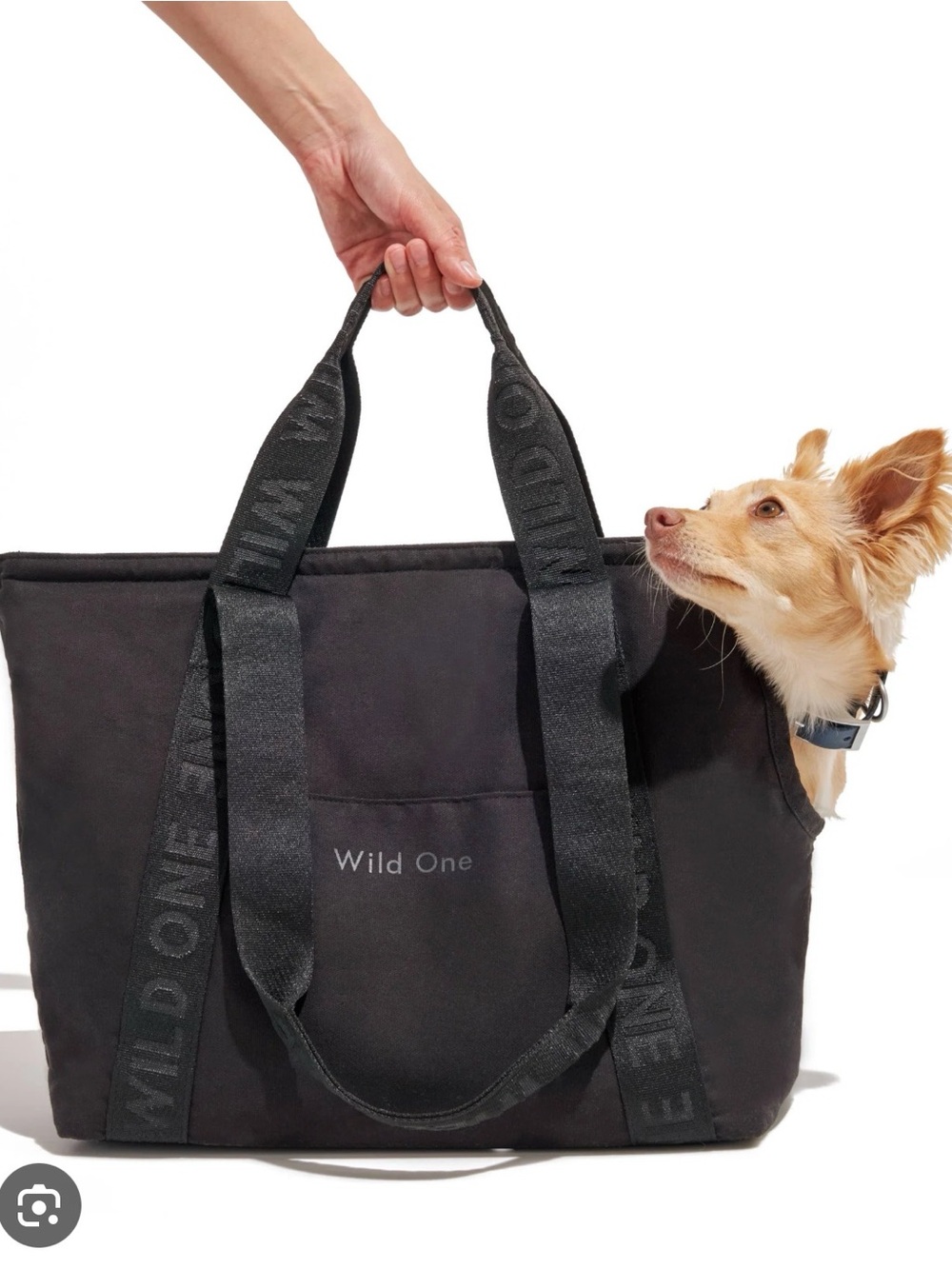 Wild One Black Tote-Style Dog Carrier
